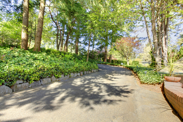 Private driveway with spring trees. - Zdjęcie, obraz