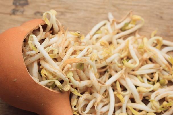 bean sprouts and seed - Photo, Image