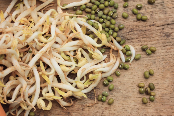 bean sprouts and seed - Photo, Image