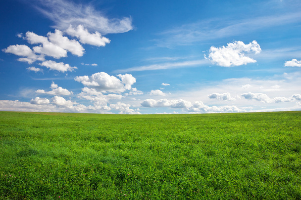 Piękny zielony pole i błękitne niebo chmury. - Zdjęcie, obraz