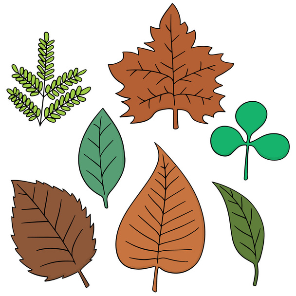 vector set of leaves - Vector, Image