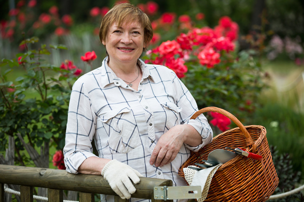 senior woman gardener - Zdjęcie, obraz