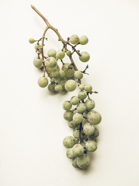 Soluk beyaz üzüm meyve vintage - Fotoğraf, Görsel