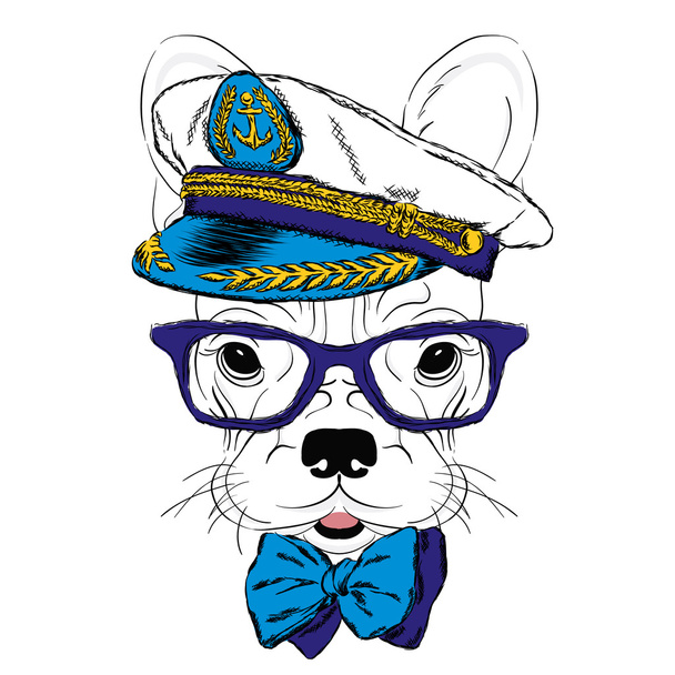 French Bulldog in the captain's cap. Vector illustration. - Vektor, obrázek