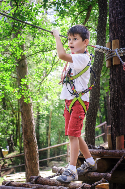 Menino desfrutando de atividade em um parque de aventura de escalada em um dia de verão com equipamentos de segurança
. - Foto, Imagem
