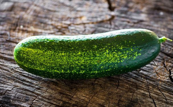 Fresh organic cucumber - Foto, imagen
