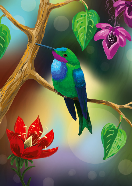 An illustration of a bright colibri (hummingbird) sitting on a branch with flowers in a tropical forest.  - Photo, image