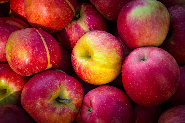 Fresh red apples - Photo, Image