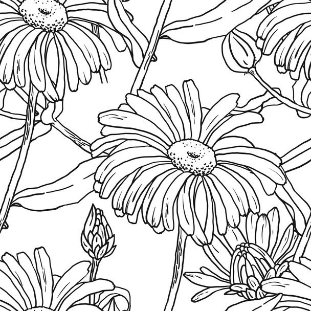 Primula Blumen mit Knospen und Blätter - Vektor, Bild