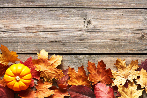 podzimní listí a dýně - Fotografie, Obrázek