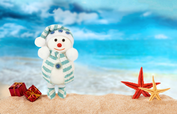 Χριστουγεννιάτικη κάρτα με χιονάνθρωπο στην ακτή - Φωτογραφία, εικόνα