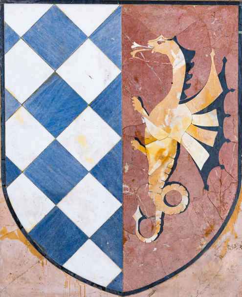 Escudo de armas que representa un escudo con dragón
. - Foto, imagen
