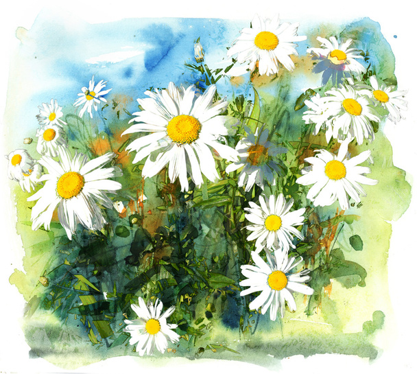Daisy garden, watercolor and mixed media - 写真・画像
