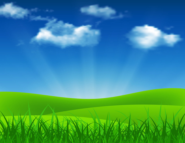 緑の芝生と、自然夏の背景 - ベクター画像
