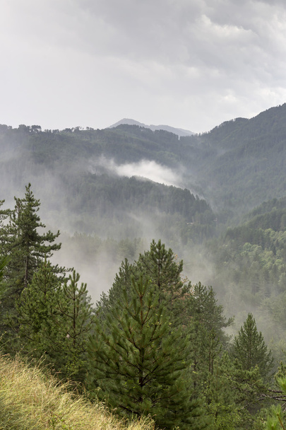Fog in the mountains (Epirus region, Greece) - Foto, immagini