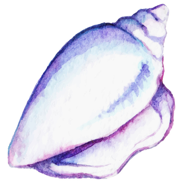 Watercolor sea shell isolated clip art vector - Vector, Image