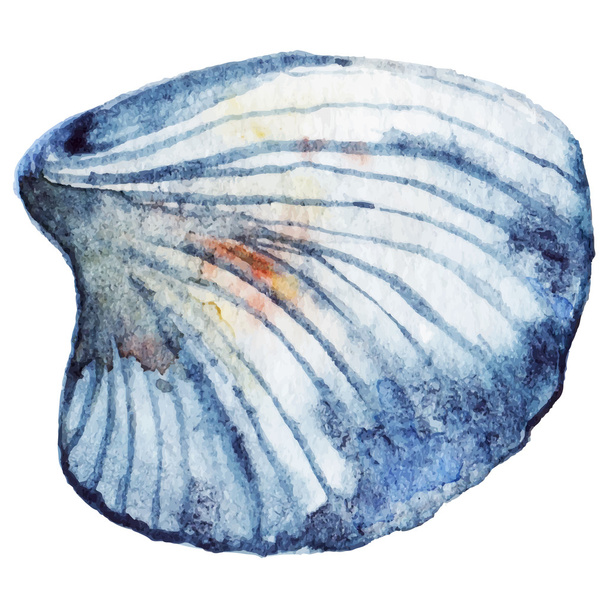 Watercolor sea shell isolated clip art vector - Διάνυσμα, εικόνα