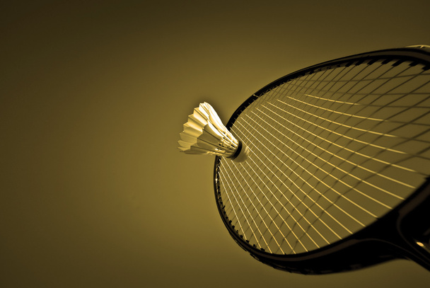 Badminton action - Photo, Image