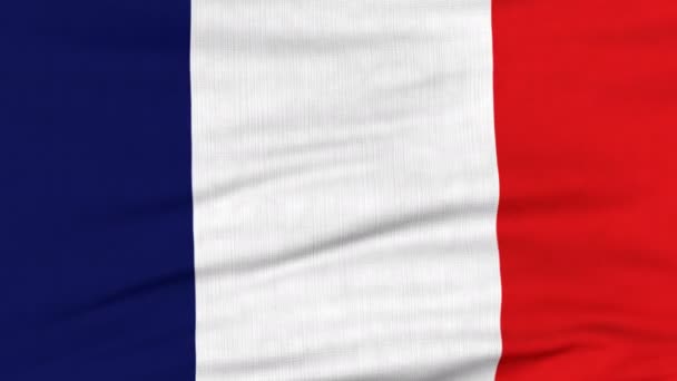 National flag of France flying on the wind - Footage, Video