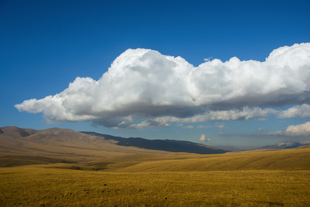Степной Казахстан, Заилийский Алатау, плато Аси
 - Фото, изображение