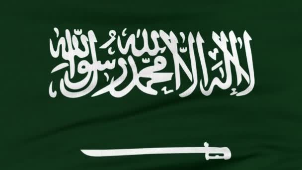 Národní vlajka Saúdské Arábie plující po větru - Záběry, video