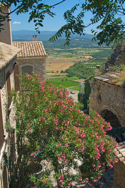 A view of Provencal countryside. - Fotografie, Obrázek