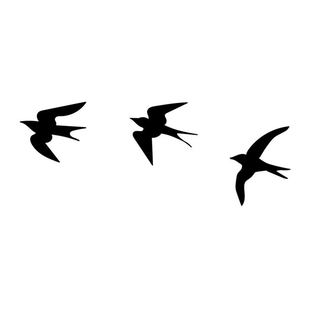 Cartoon black swallows - Vector, Image