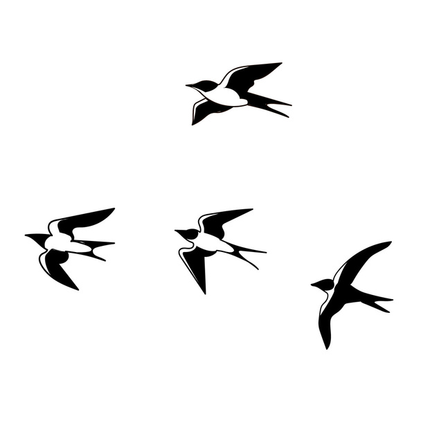 Cartoon birds swallows - Vecteur, image