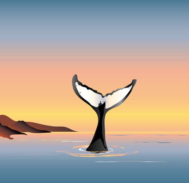 velryba fluke - Vektor, obrázek