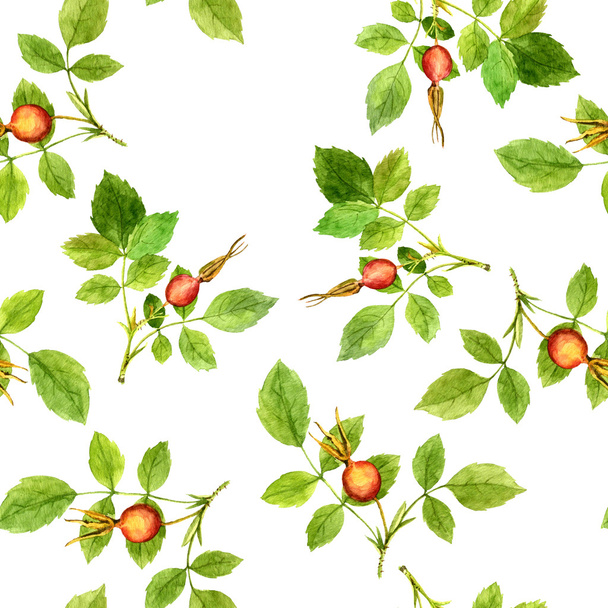 seamless pattern with leaves and berries - Photo, image