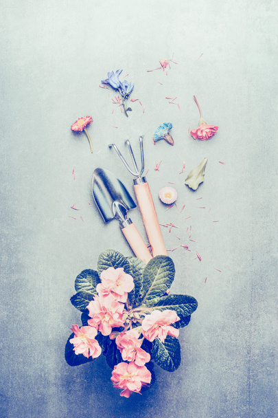 Gardening tools and pink pale flowers - Foto, afbeelding