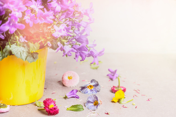 Flower pot with bell flowers - Foto, Bild
