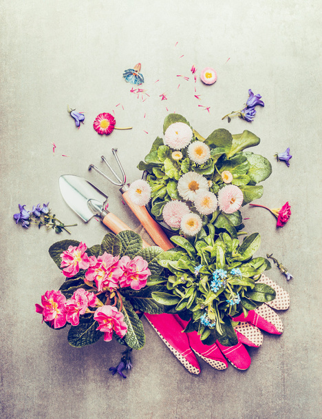Gardening tools and pots with flowers - Valokuva, kuva