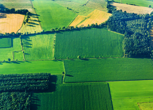 Aerial view of green fields and slopes - Photo, Image