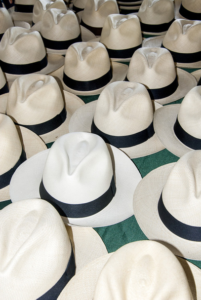 Tarvikkeet - Panama Hats
 - Valokuva, kuva