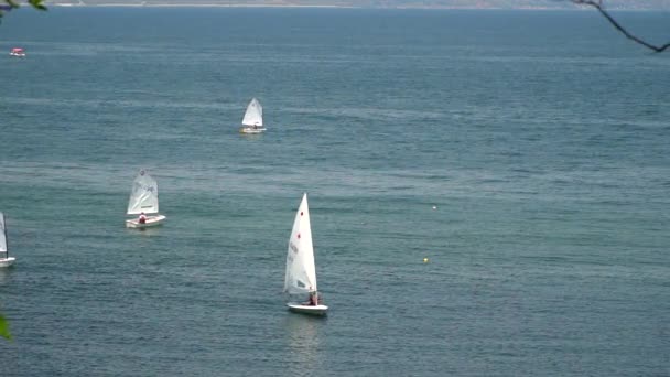 Several sailboats floating in the sea - Footage, Video
