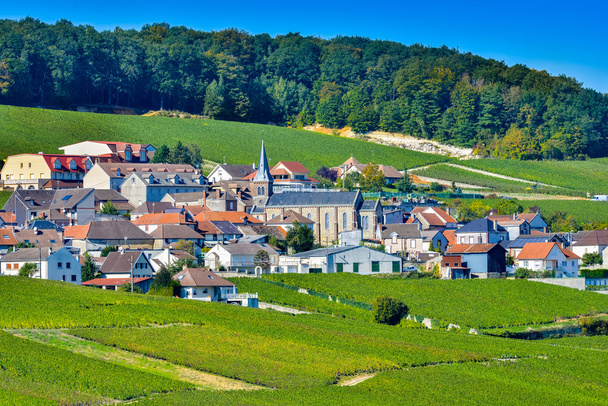 Champagne vineyards Mancy in Marne department, France - Foto, Imagen