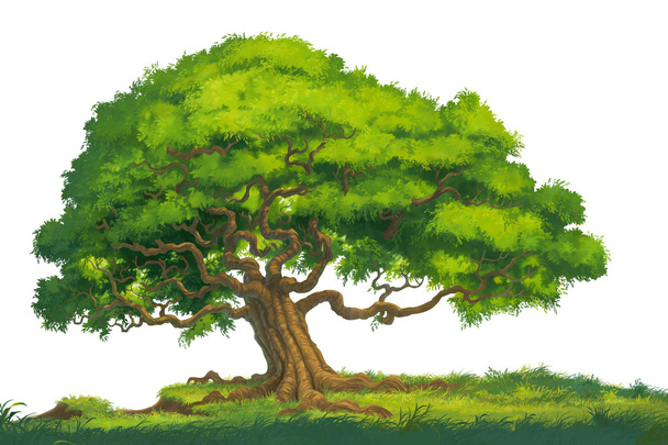 illustration d'isolat d'arbre
 - Photo, image