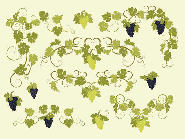Vector design elements in vintage style with vines. - Vector, Image