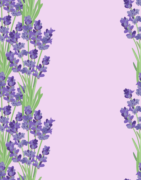 Zweig der Blüten von Lavendel. - Vektor, Bild
