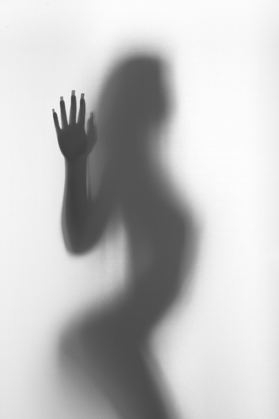 sexy vrouw staat achter een gordijn, silhouet - Foto, afbeelding