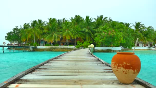 Mooie Maldiven island met Oceaan - Video