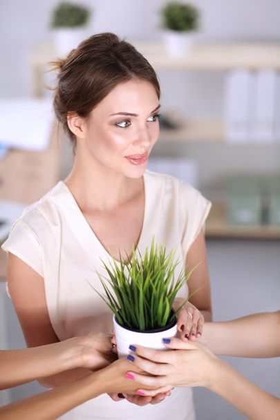 Hermosa mujer sosteniendo la olla con una planta
 - Foto, imagen