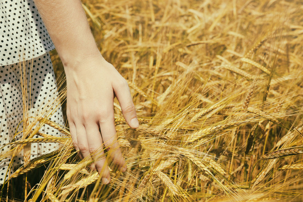 Young woman touching wheat  - Foto, Bild