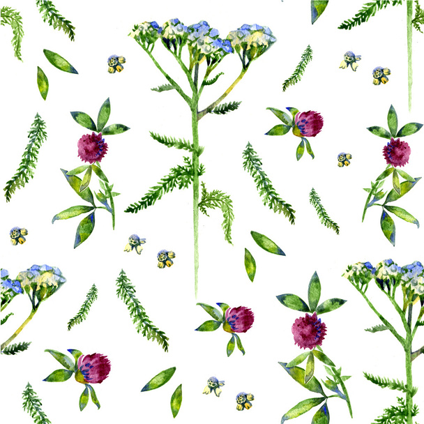 Wild flowers illustration. Watercolor seamless pattern - Фото, изображение