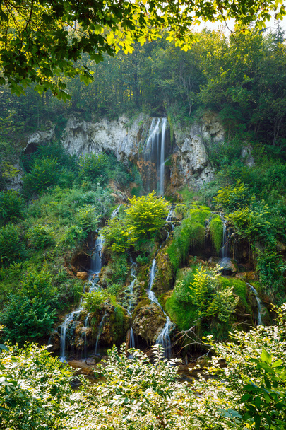 waterfall in a lush forest - Фото, изображение