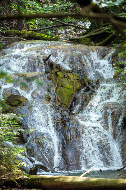 cascada en un exuberante bosque
 - Foto, imagen