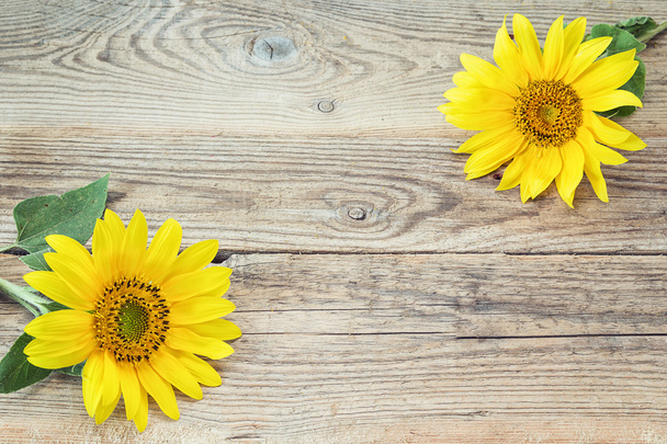 Background with  sunflowers on old wooden boards. Space for text - Foto, imagen