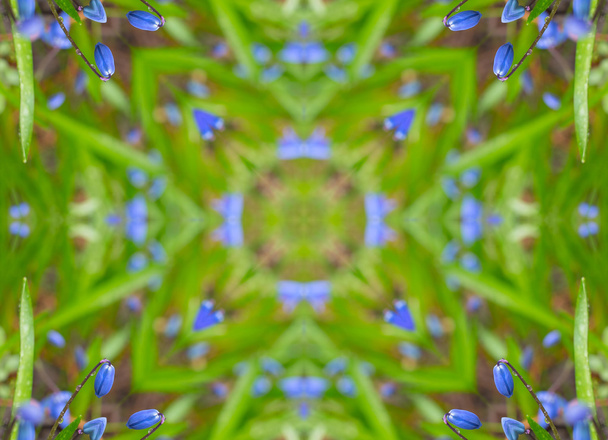 Kaleidoscope fractal made of flowers - Photo, Image