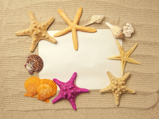 Sea frame with starfishes - Φωτογραφία, εικόνα